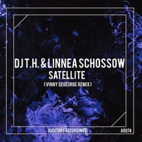 Satellite (Vinny DeGeorge Remix)