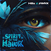 Spirit Of The Hawk