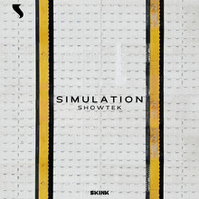 Simulation