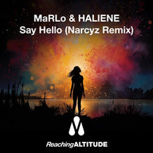 Say Hello (Narcyz Remix)