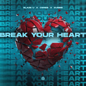 Break Your Heart