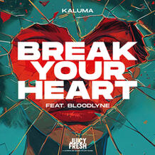 Break Your Heart