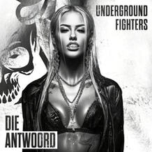 Die Antwoord