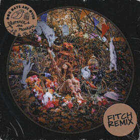 Dog Days Are Over (Fitch Remix)