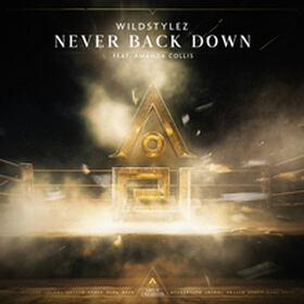 Never Back Down