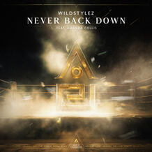 Never Back Down