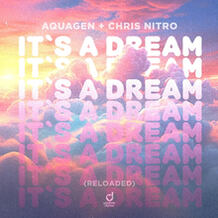 It's A Dream (Reloaded)