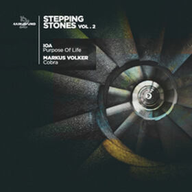 Stepping Stones Vol. 2