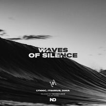 Waves Of Silence