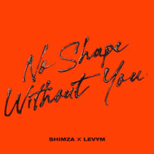 No Shape Without You (Extended Mix)