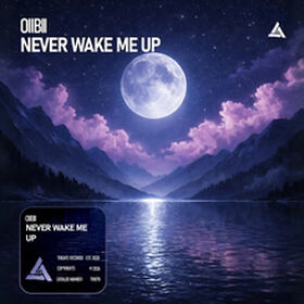 Never Wake Me Up