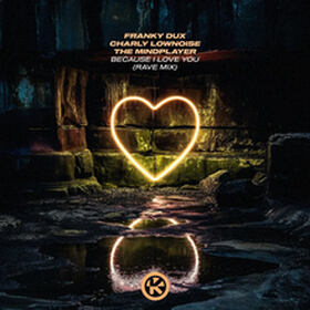 Because I Love You (Rave Mix)