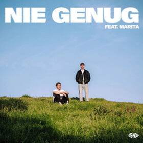 Nie Genug