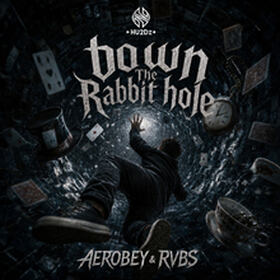 Down The Rabbit Hole