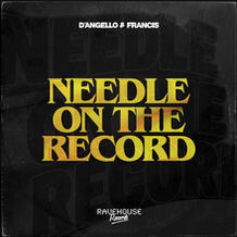 Needle On The Record