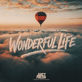Wonderful Life