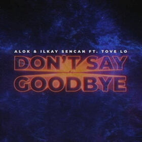 Don't Say Goodbye