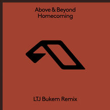 Homecoming (LTJ Bukem Remix)
