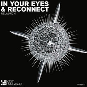 In Your Eyes / Reconnect